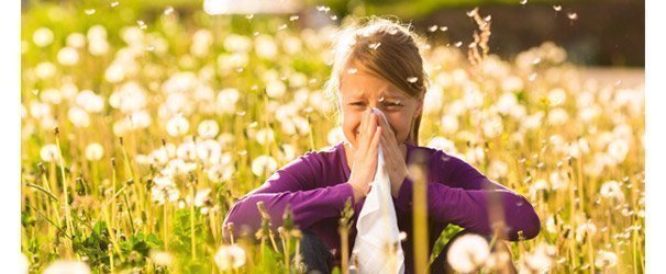 Natuurlijke honing helpt bij hooikoorts