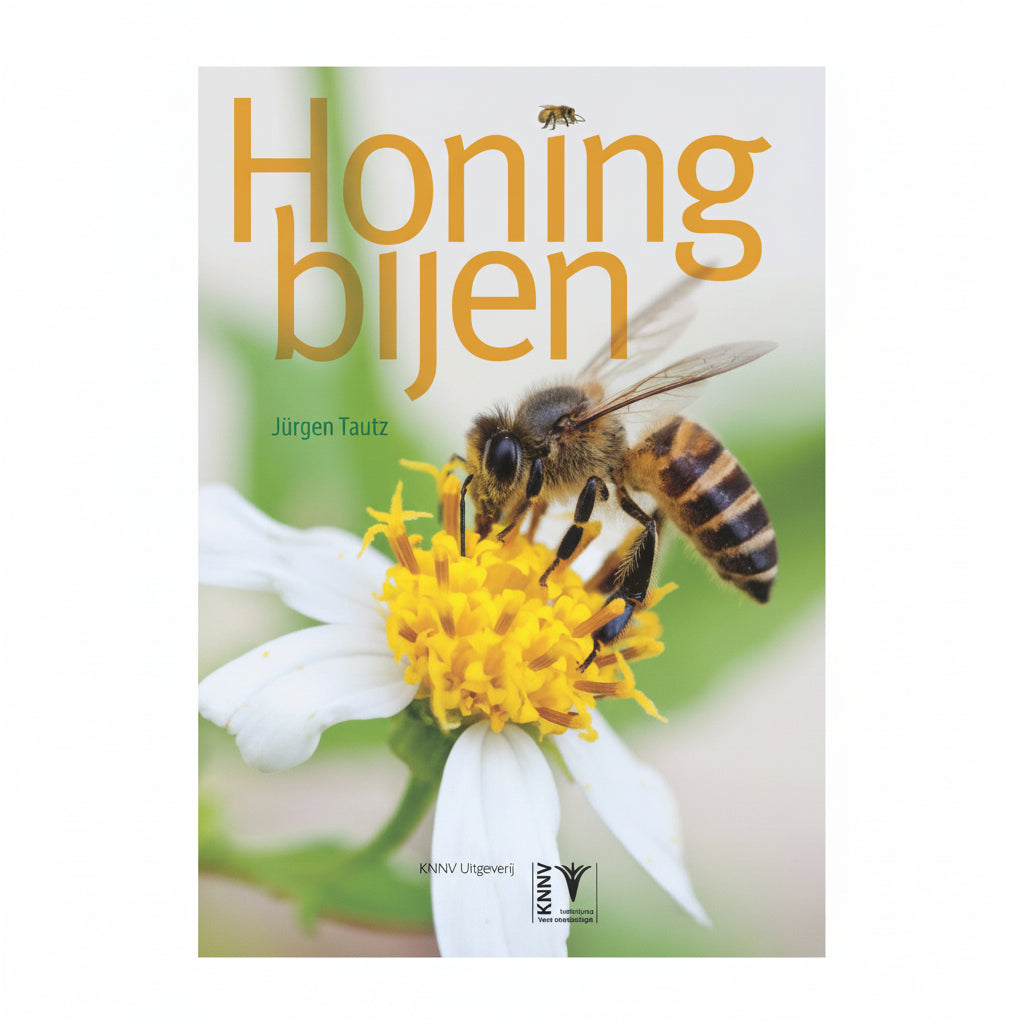Honigbienen - Jürgen Tautz | Wissenschaftliches Standardwerk über Bienen