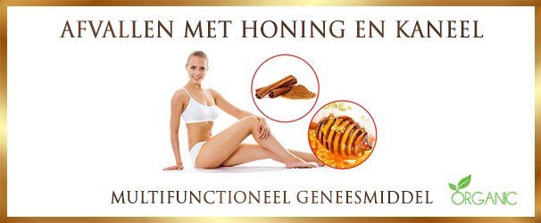 Afvallen met honing en kaneel - www.lekkerhoning.nl