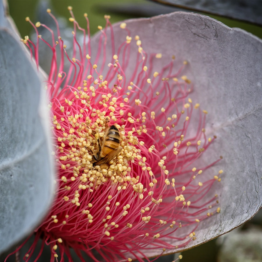 Freie Atemwege - SOS