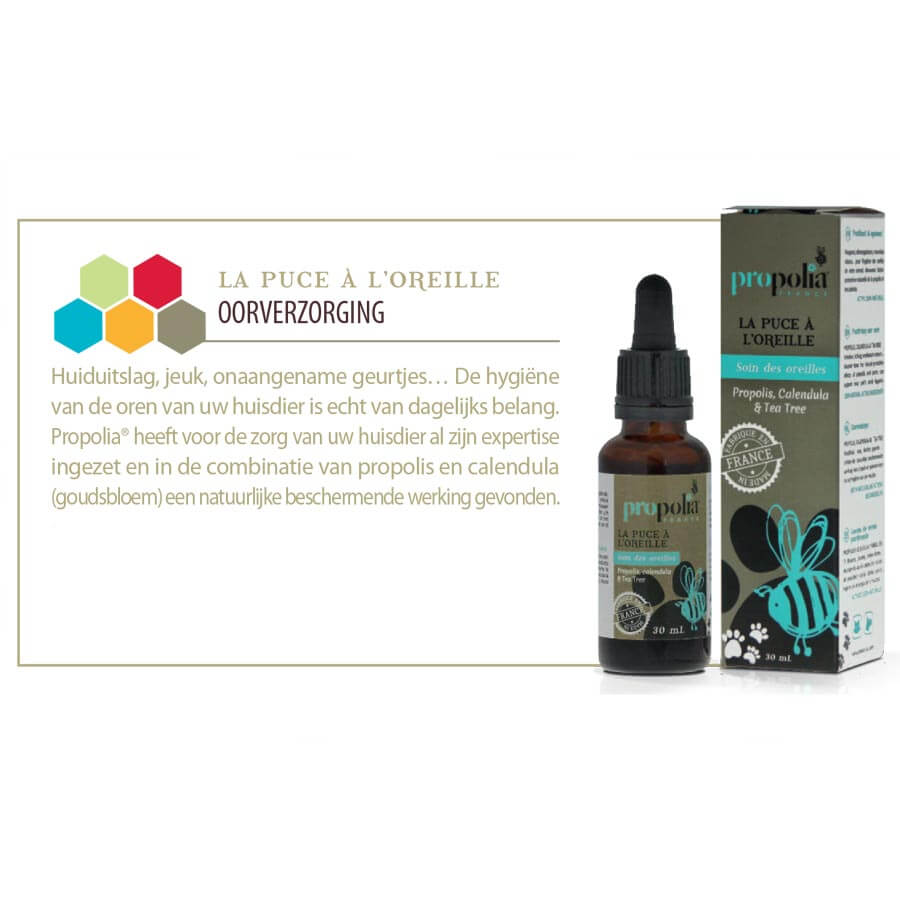 Ohrpflege mit Propolis