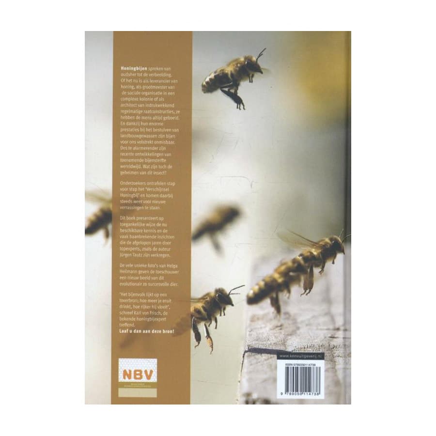 Honigbienen - Jürgen Tautz | Wissenschaftliches Standardwerk über Bienen