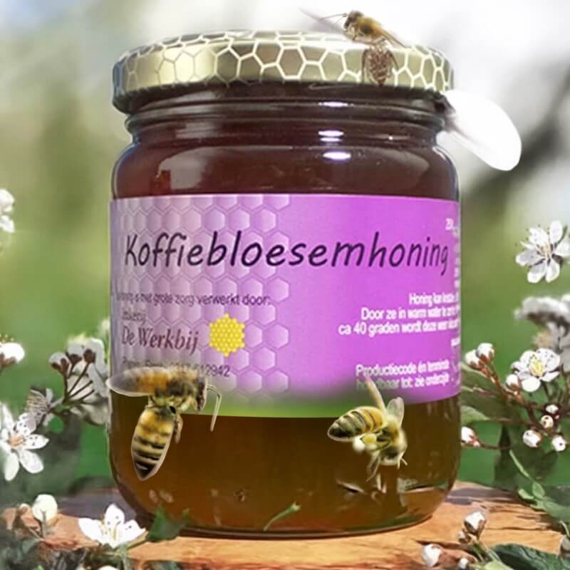 Koffiebloesemhoning
