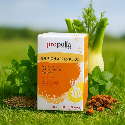 Kräutertee mit Propolis – Tee für die Verdauung