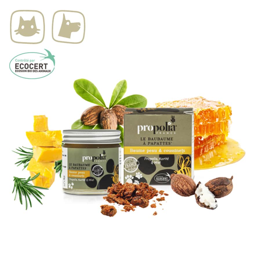 Propolis Balsem voor huid- en voetkussen - Lekkerhoning.nl