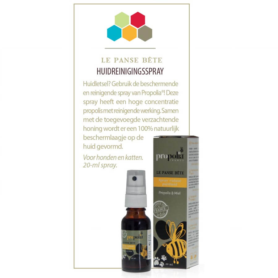 Reinigendes Spray Propolis
